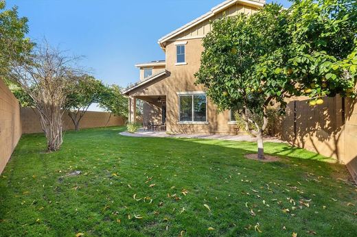 Backyard with lemon tree and covered patio